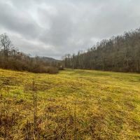 Hysell Run - 72 acres - Meigs County images 4