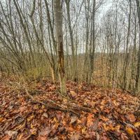 Hysell Run - 72 acres - Meigs County images 5