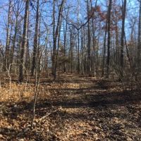 Fulton County Farm images 3