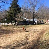 Fulton County Farm images 4