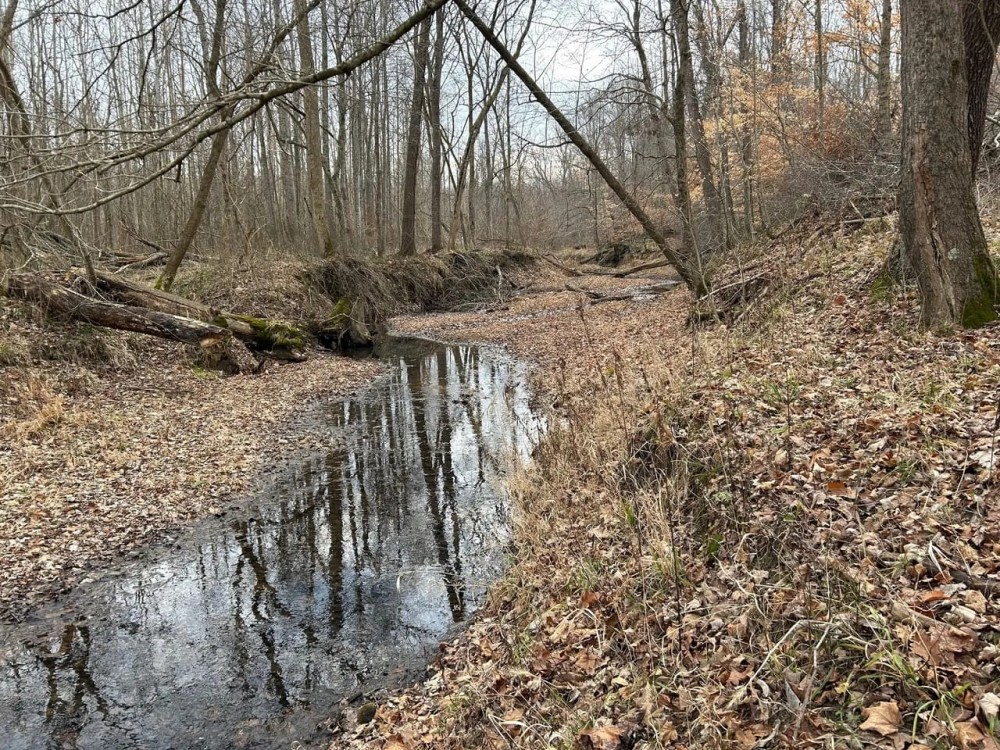 Land For Sale in Putnam County IN 73 Acres - featured image