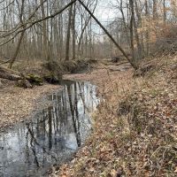 Land For Sale in Putnam County IN 73 Acres -