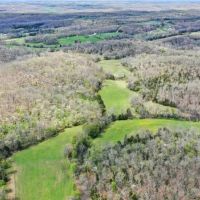 216 Bird Song Ln. images 5