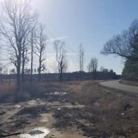 Highway 127 Tract B LaSalle Parish 64.15 Acres - images 3