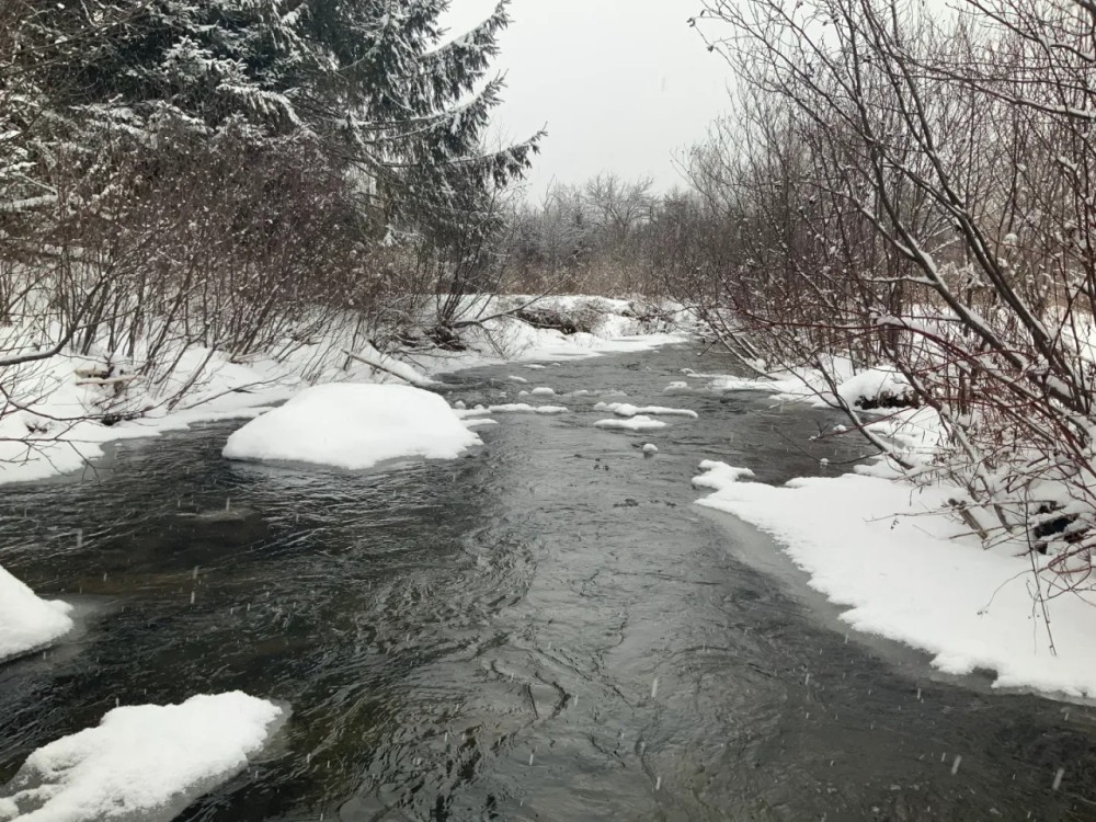 21 acre Hunting Land on Beaver Creek Salisbury NY featured image