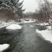 21 acre Hunting Land on Beaver Creek Salisbury NY