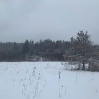 21 acre Hunting Land on Beaver Creek Salisbury NY images 2