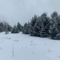 21 acre Hunting Land on Beaver Creek Salisbury NY images 3