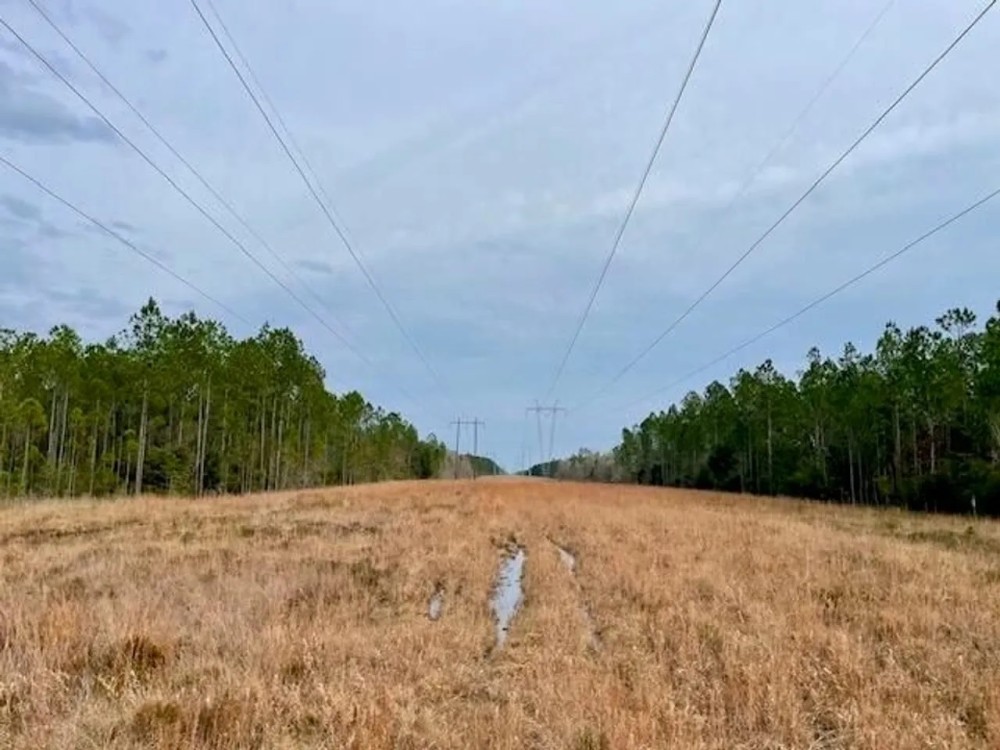 Mississippi Hunting Land For Sale Hancock County featured image