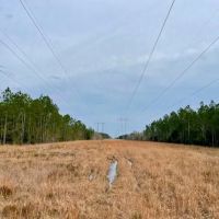 Mississippi Hunting Land For Sale Hancock County