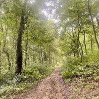 Route 982- Latrobe- 47.9 Acres