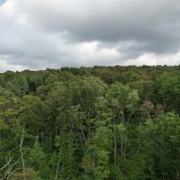 Route 982- Latrobe- 47.9 Acres images 4
