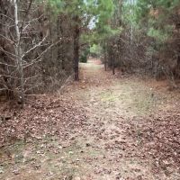 Atlanta 68 DD images 2