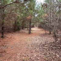Atlanta 68 DD images 3