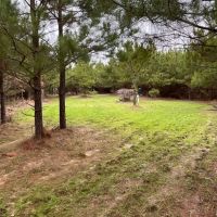 Atlanta 68 DD images 4