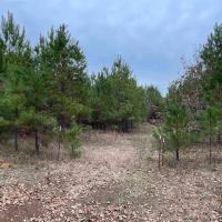 Atlanta 68 DD images 5