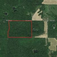 Land For Sale in Owen County IN 61 Acres -