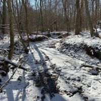 Land For Sale in Owen County IN 61 Acres - images 2