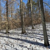 Land For Sale in Owen County IN 61 Acres - images 3