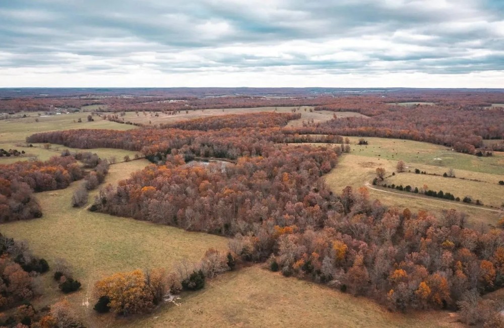 Double K Ranch featured image