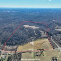 SR 124 - 94 acres - Meigs County images 2