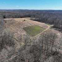 SR 124 - 94 acres - Meigs County images 4