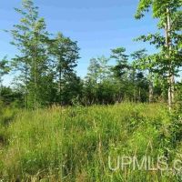 96 - Michigan Vacant Land 50131565 images 2