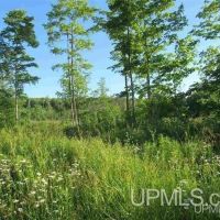 96 - Michigan Vacant Land 50131565 images 3