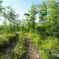 96 - Michigan Vacant Land 50131565 images 4