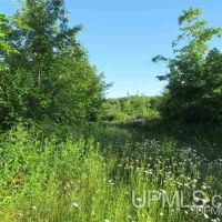 96 - Michigan Vacant Land 50131565 images 5