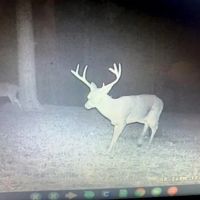 State Line 235 Acre Farm with Cabin images 3