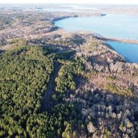 State Line 235 Acre Farm with Cabin images 4