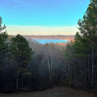 State Line 235 Acre Farm with Cabin images 5