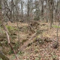 Karnack 22 DD images 2