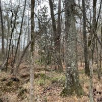 Karnack 22 DD images 3