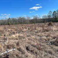 Hughes Springs 72 DD images 3