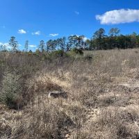 Hughes Springs 72 DD images 4