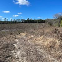 Hughes Springs 72 DD images 5