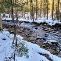 1659 Sims Hill Road - Lemington images 4
