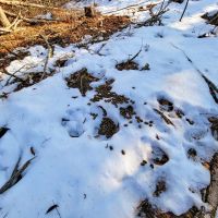 1659 Sims Hill Road - Lemington images 5