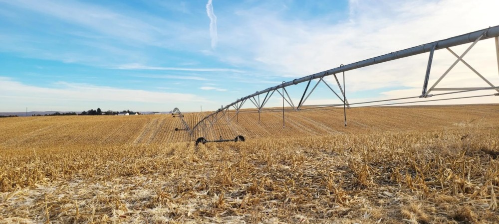 Roscoe Pivot and Grass-Absolute Auction featured image