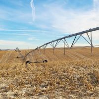 Roscoe Pivot and Grass-Absolute Auction
