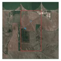 Roscoe Pivot and Grass-Absolute Auction images 2