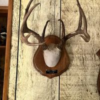 Cypress Bayou 364 DD images 4