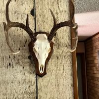 Cypress Bayou 364 DD images 5