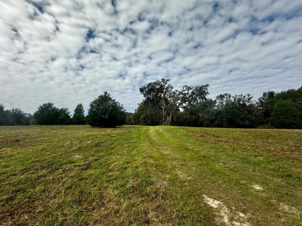 Coachwhip 13 Acres featured image