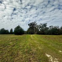 Coachwhip 13 Acres