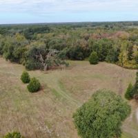Coachwhip 13 Acres images 4