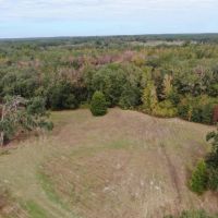 Coachwhip 13 Acres images 5