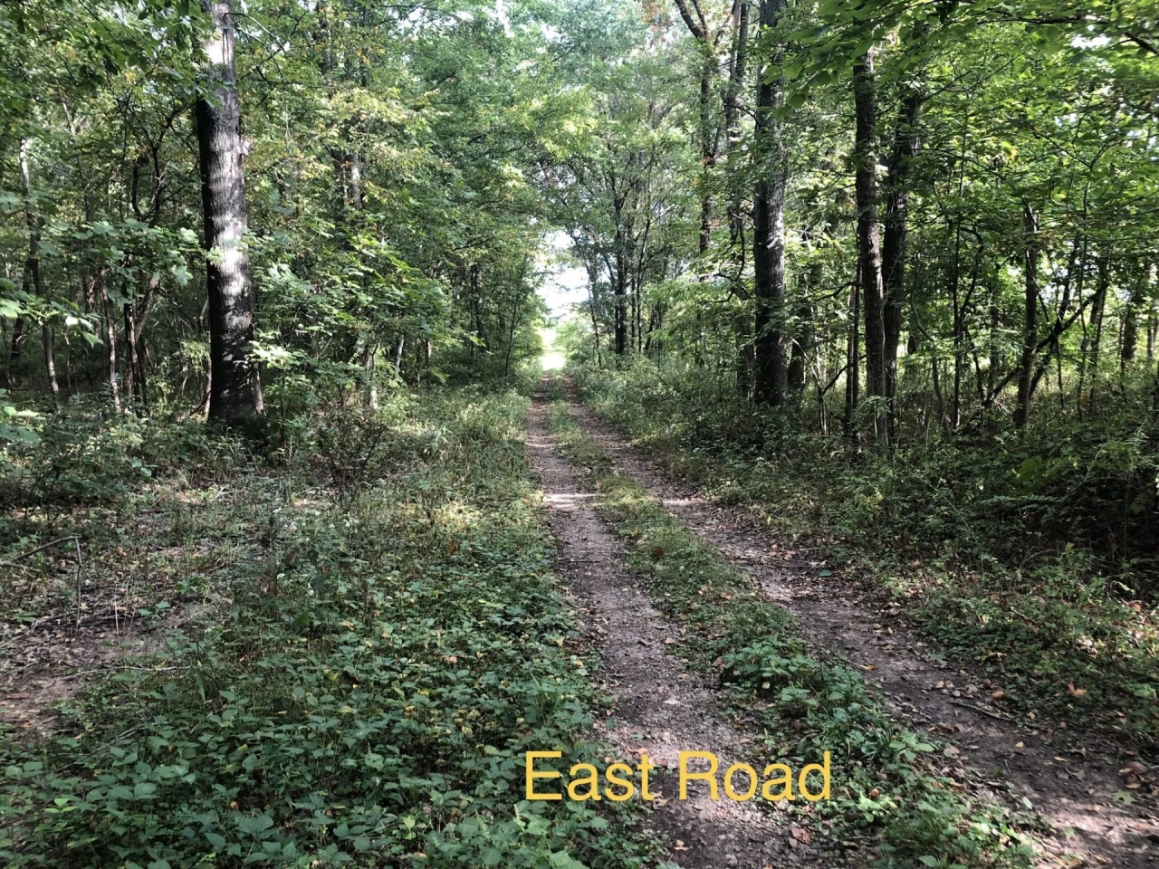 000 LINCOLN Road Iuka IL 62849 Hunting Land for Sale HuntingLocator